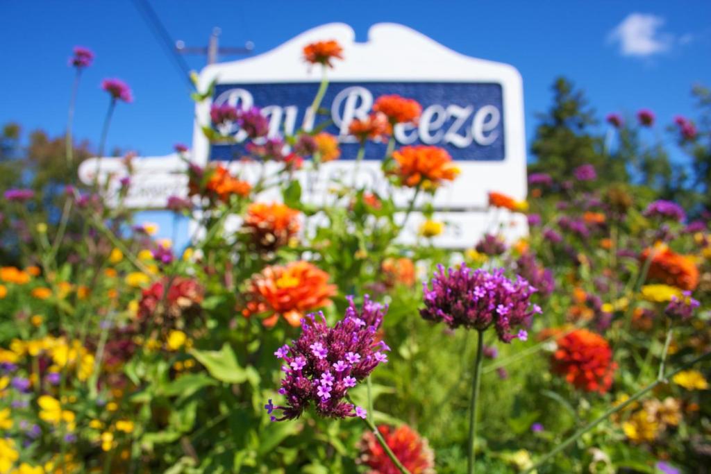 un campo de flores con una señal en el fondo en Bay Breeze Resort en Ephraim