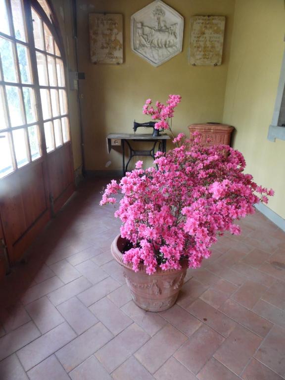 Fotografie z fotogalerie ubytování Villa Francesca v destinaci Rignano sullʼArno