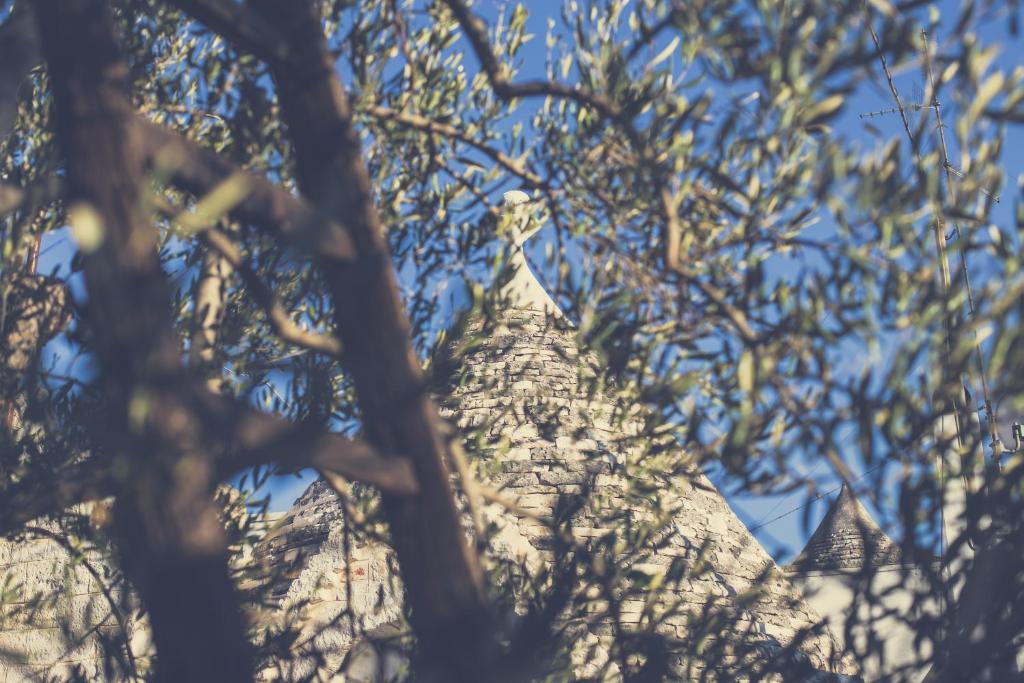 Kép Trullo del Sorriso szállásáról Alberobellóban a galériában