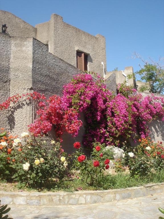 A garden outside Cavo Grosso Bungalows