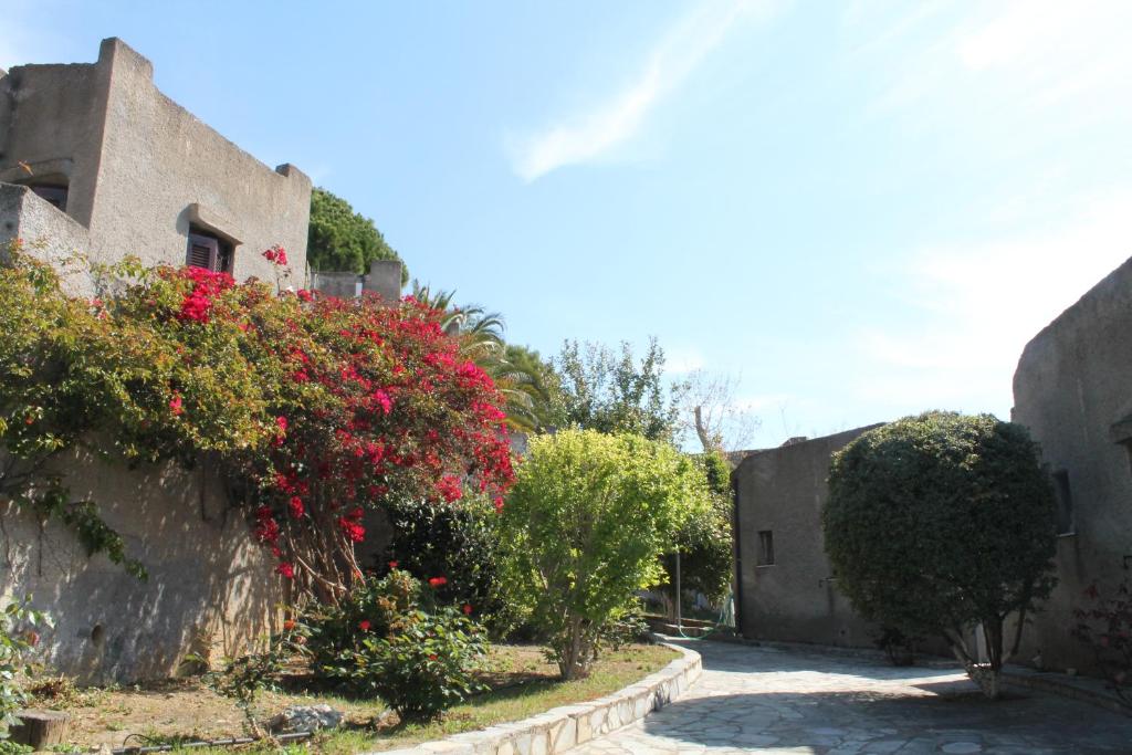 A garden outside Cavo Grosso Bungalows