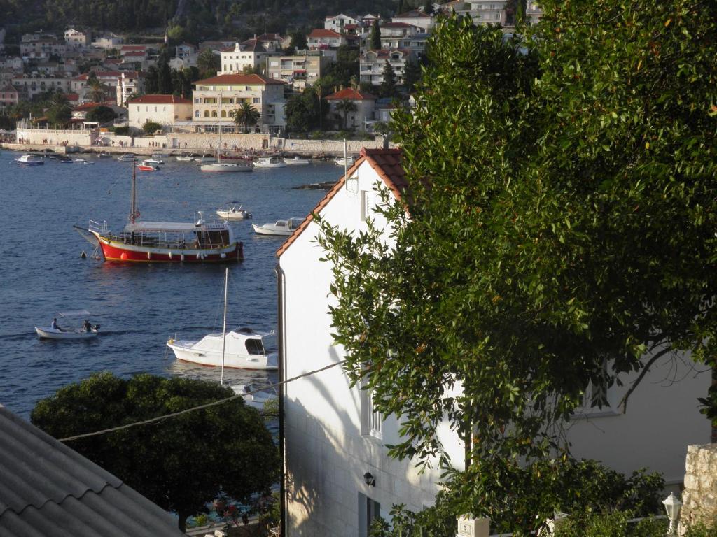 Príroda v okolí apartmánu