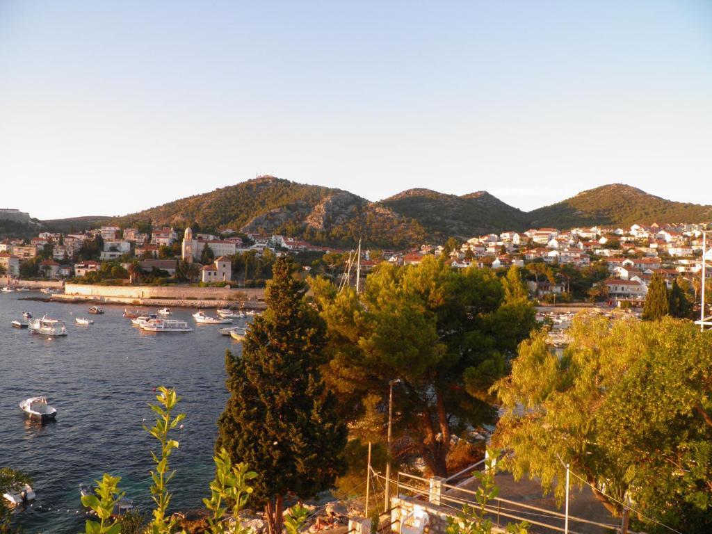 Príroda v okolí apartmánu