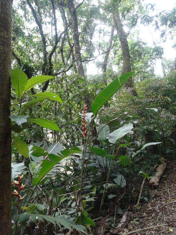 Pousada Recanto Águas Vivas com Piscina Aquecida e Lazer Completo próximo a Sorocaba