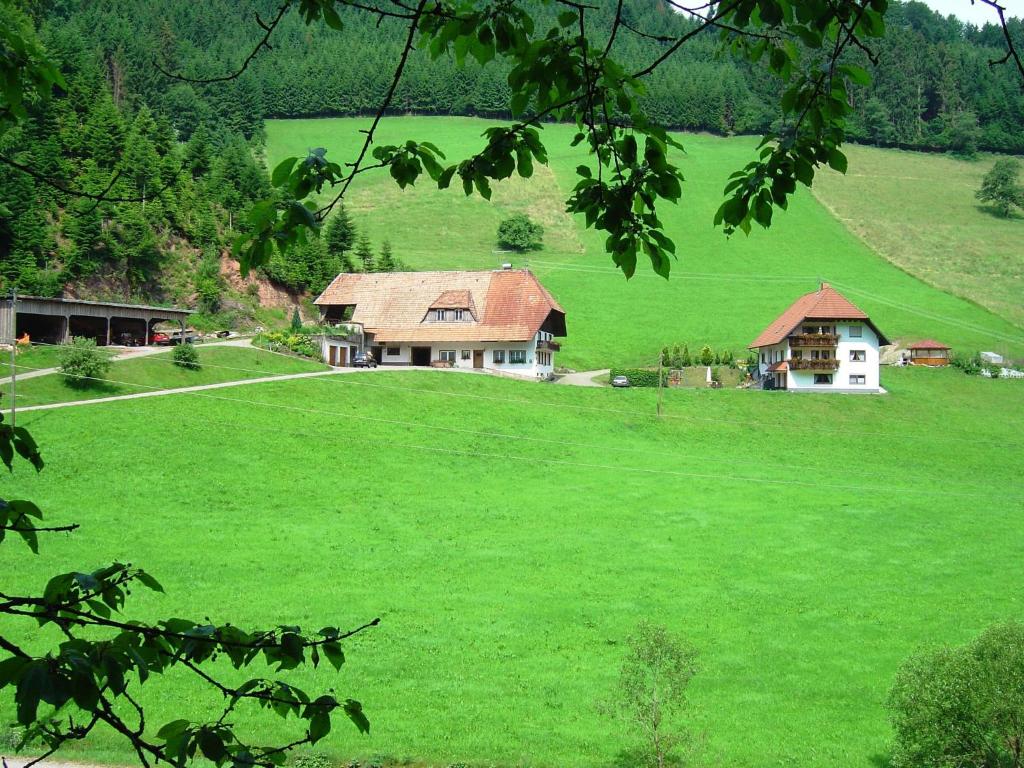 ein großes grünes Feld mit Häusern auf einem Hügel in der Unterkunft Black Forest farmhouse in charming location in Hofstetten