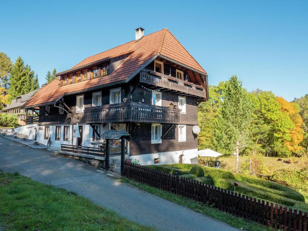 ein großes Holzhaus mit Metalldach in der Unterkunft Apartment near the Feldberg ski area in Dachsberg im Schwarzwald