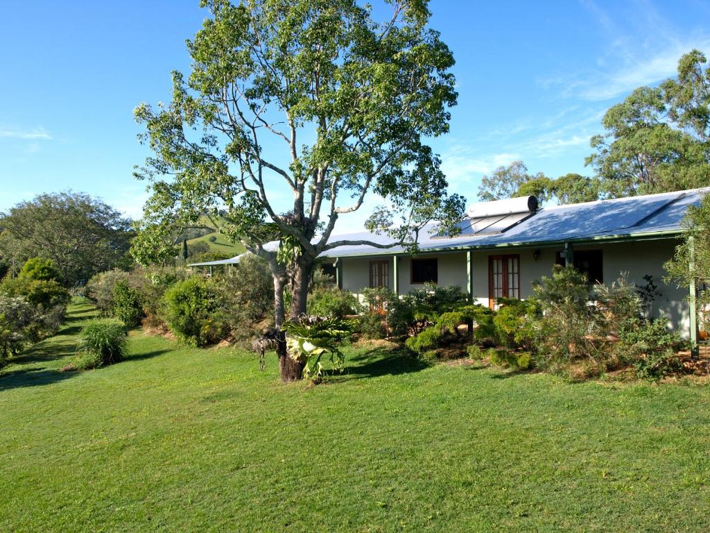 a house with a tree in the yard at Amamoor Lodge in Amamoor