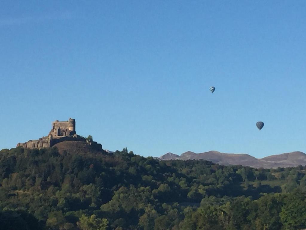 ein Schloss auf einem Hügel mit Bäumen in der Unterkunft Les Gîtes du Paradis in Murol