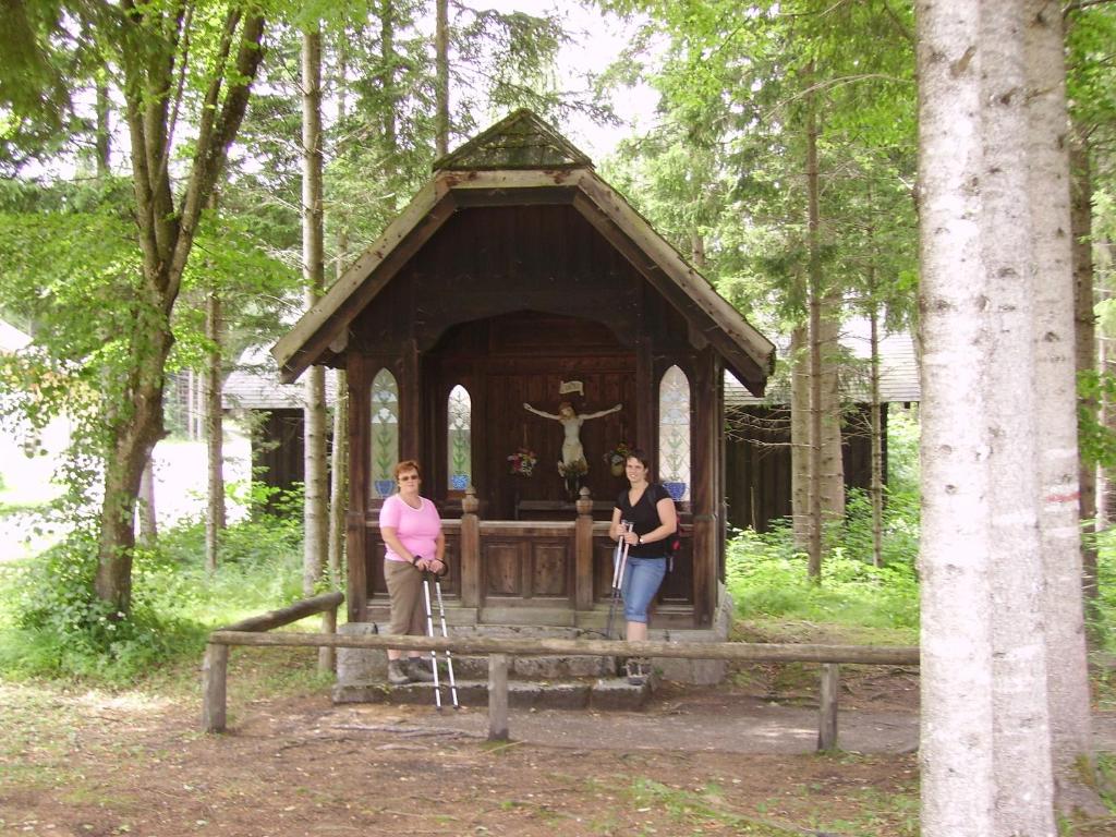 Hostia v ubytovaní Wolfs Revier