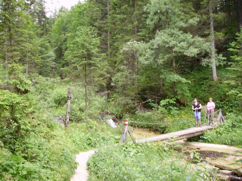 Príroda v okolí apartmánu
