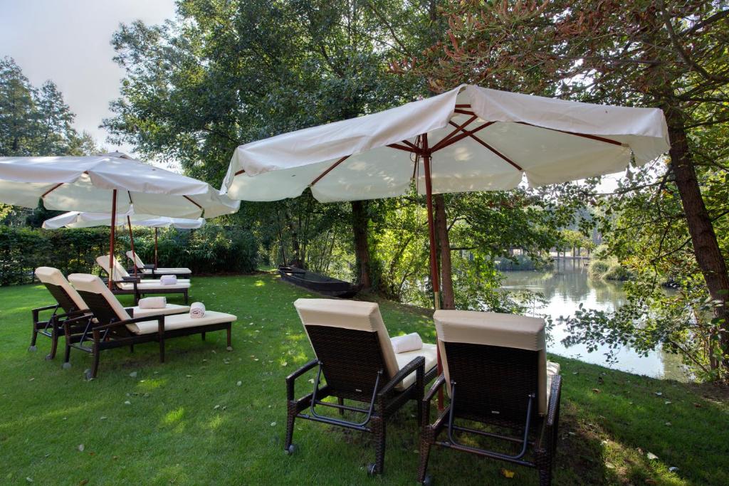 17+ Classy Shade Plant Umbrella