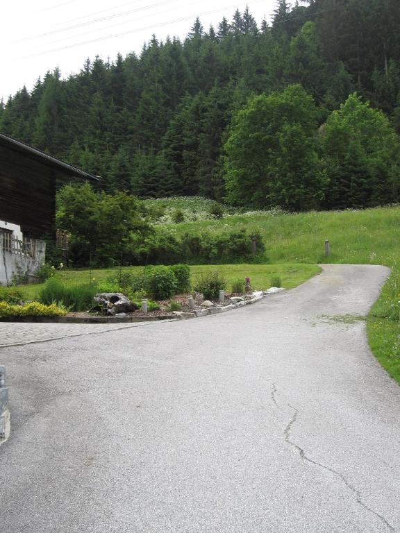 Příroda nedaleko apartmánu
