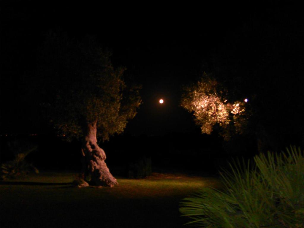 Kép Agriturismo Masseria Alberotanza szállásáról Conversanóban a galériában