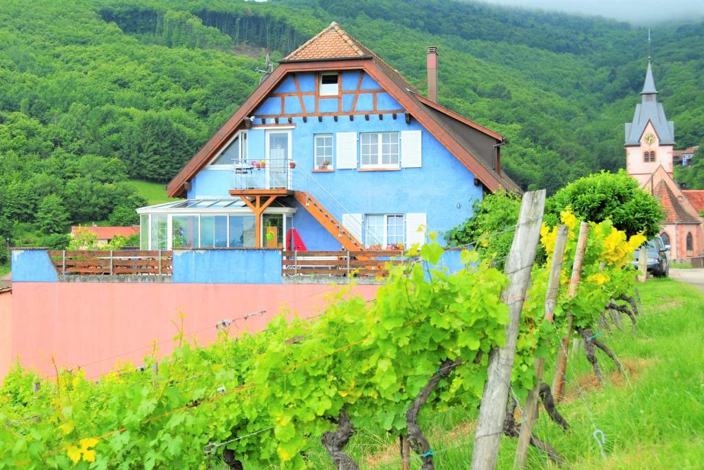 a blue house sitting on top of a hill at Domaine Bohn Green winehouse in Reichsfeld