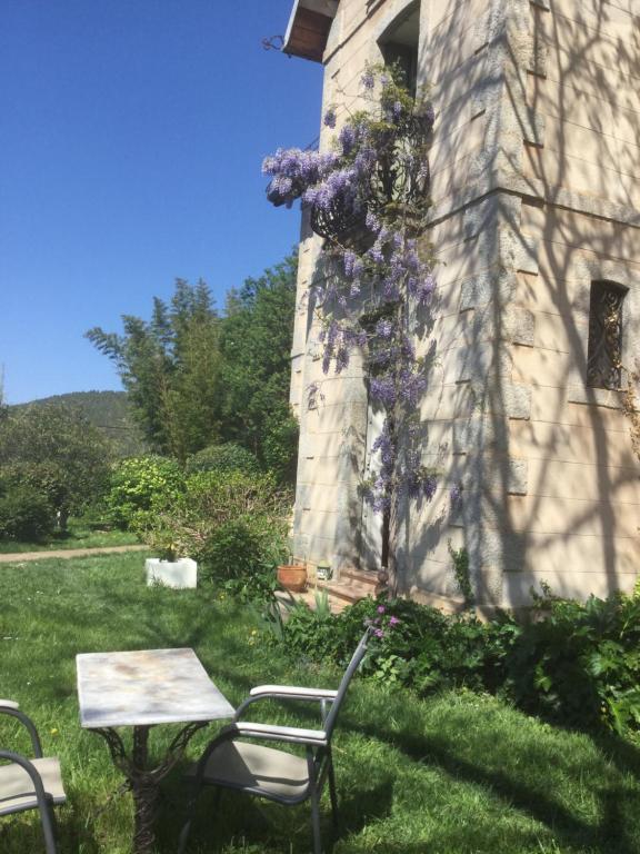 Zahrada ubytování Villa Delphina