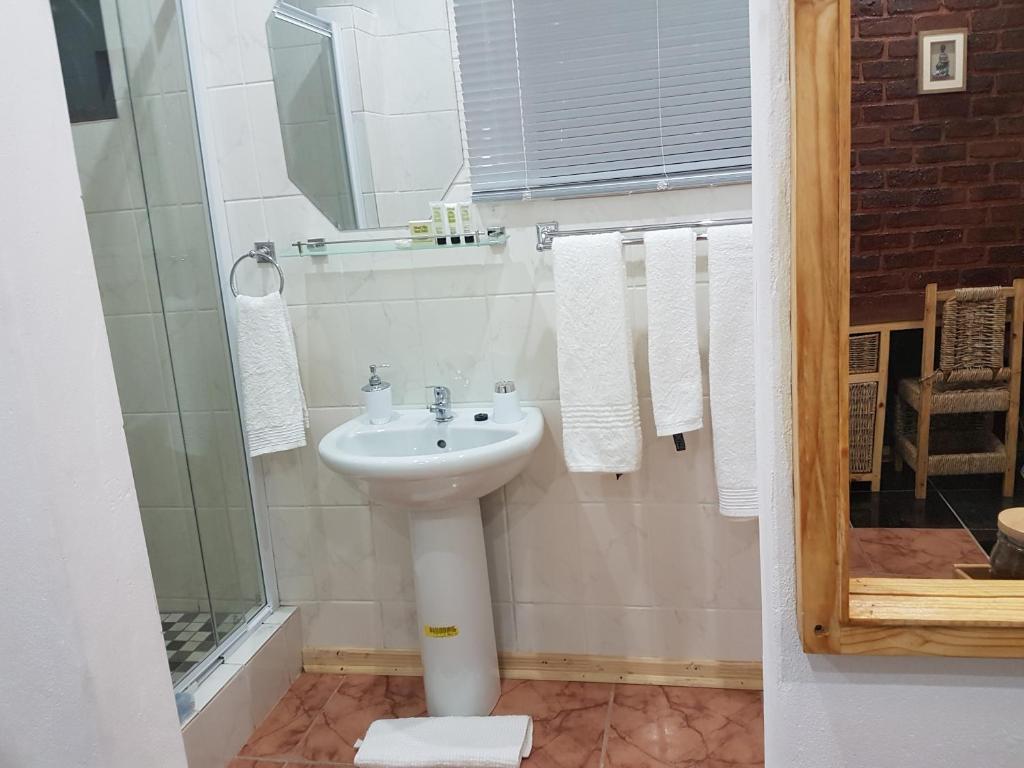 a bathroom with a white sink and a shower at Aliwal Villa Guest Lodge in Aliwal North