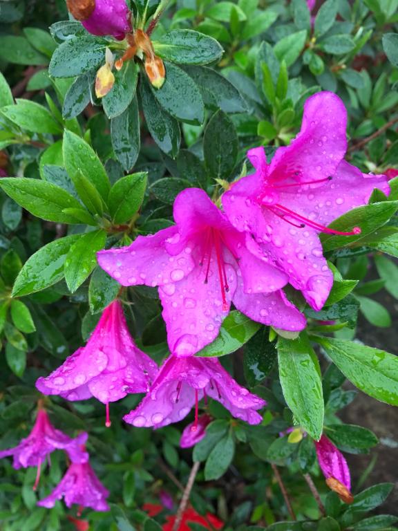 Red Bluff Inn, Red Bluff Updated 2023 Prices