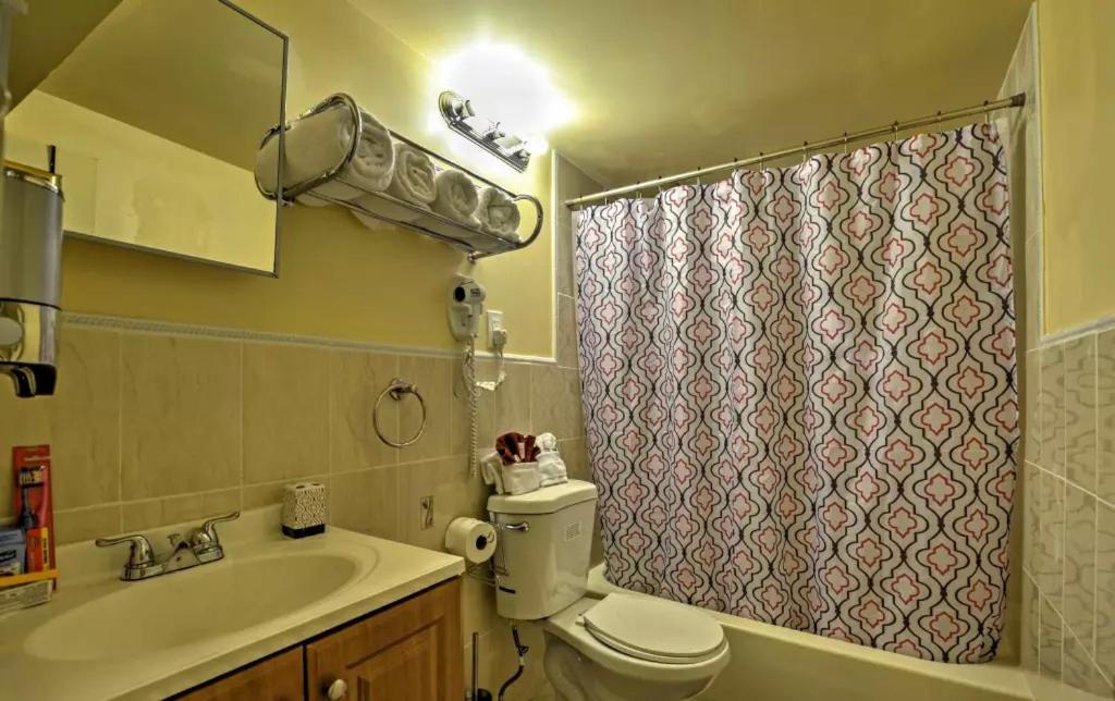 a bathroom with a toilet and a sink and a shower at Two Bedroom Apartment - North East Bronx in Bronx