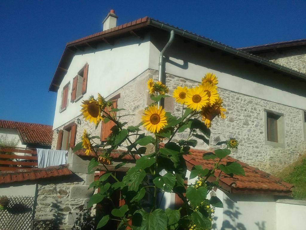 Fotografie z fotogalerie ubytování Gîte Le Chapis v destinaci Saint-Chamond