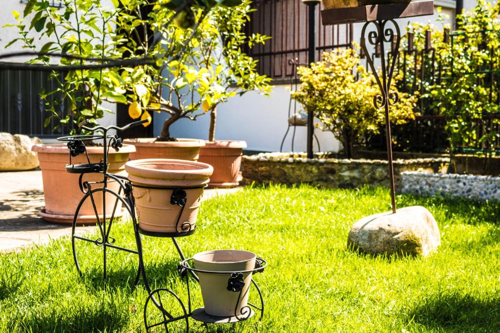 Margherita Friendly house - Appartement Avec Vue Sur Le Jardin