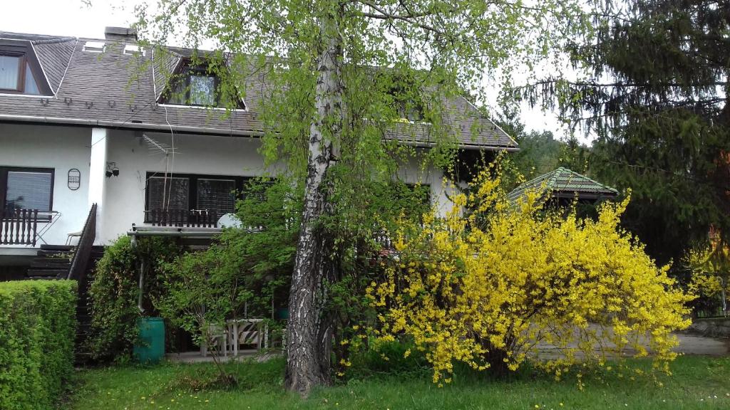 Sára Apartman Parádfürdő 3240 Parád, Fehérkő utca 6 kép - 1