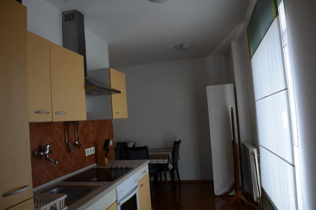 Kuchyňa alebo kuchynka v ubytovaní Apartments Dida moj