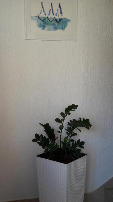 Guesthouse Ivan - 14