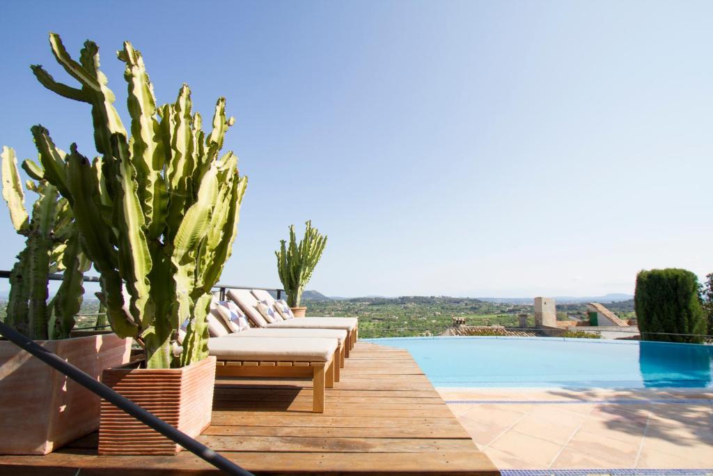 una piscina con tumbonas y un cactus en Can Cota Boutique - Turismo de interior en Selva