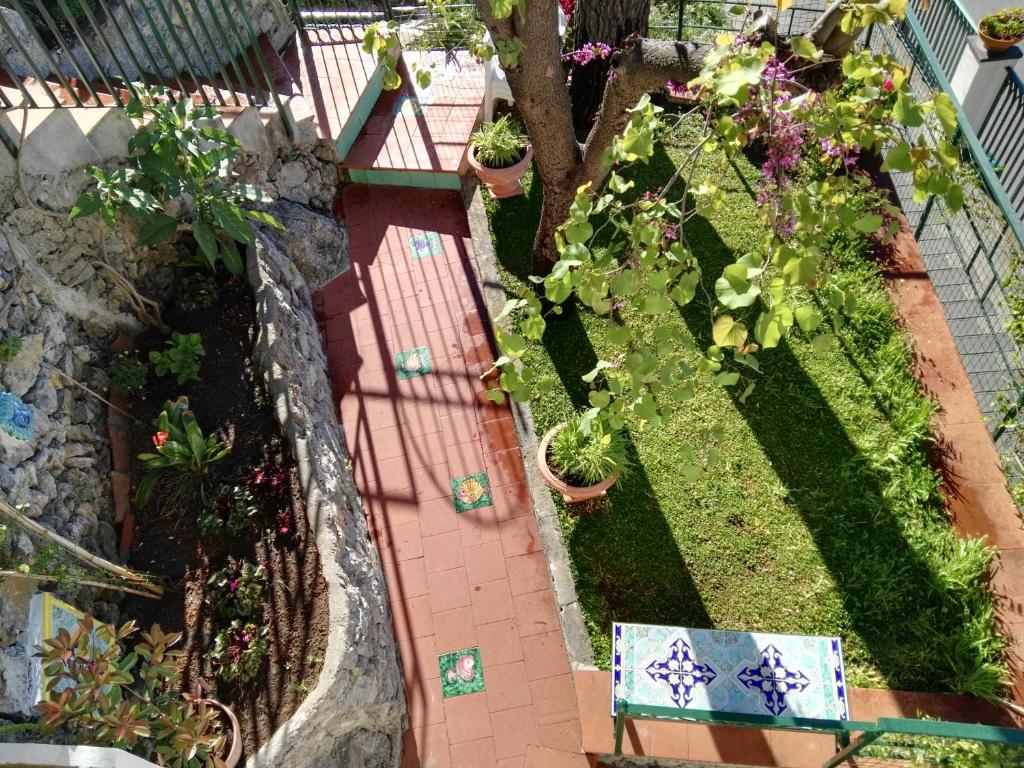 Сад в Casa Vacanze Bouganvillea