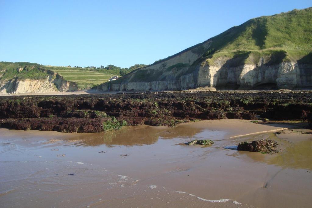 a muddy beach with a mountain in the background at Le Clos Saint Jean in Sainte-Honorine-des-Pertes