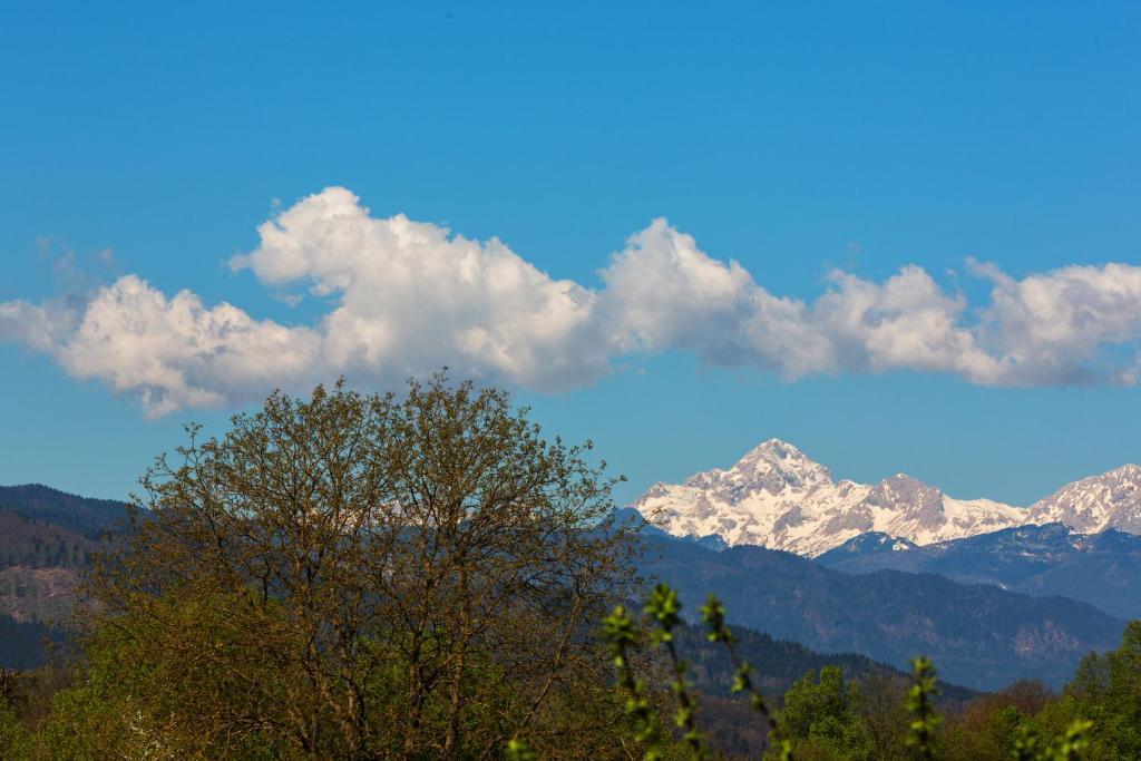 Vista generica sulle montagne o vista sulle montagne dall'interno del bed & breakfast