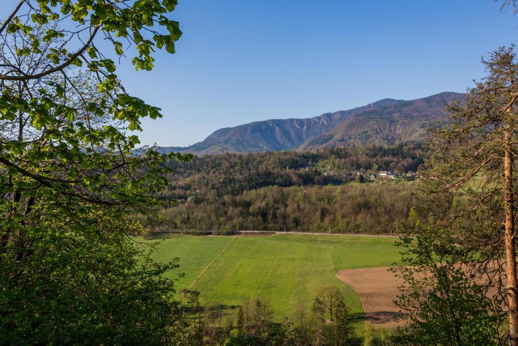 un campo verde con montagne sullo sfondo di Sobe Meta a Brezje