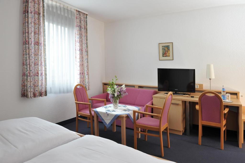 TV a/nebo společenská místnost v ubytování Hotel Grüner Baum