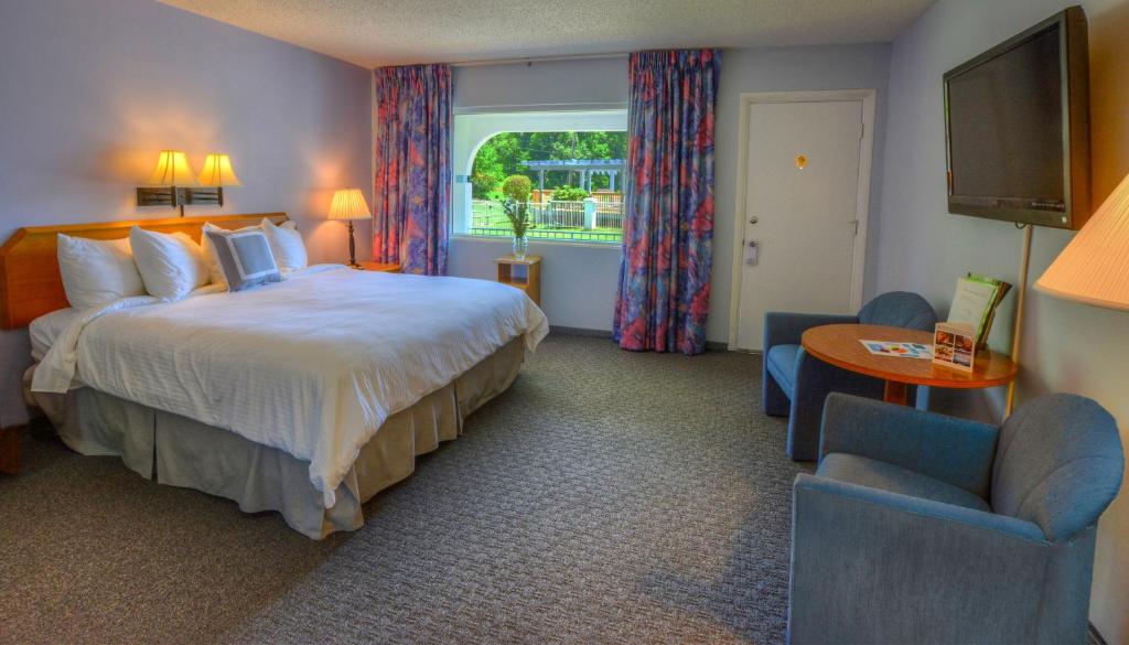 Habitación de hotel con cama grande y TV en Carolina Motel, en Franklin