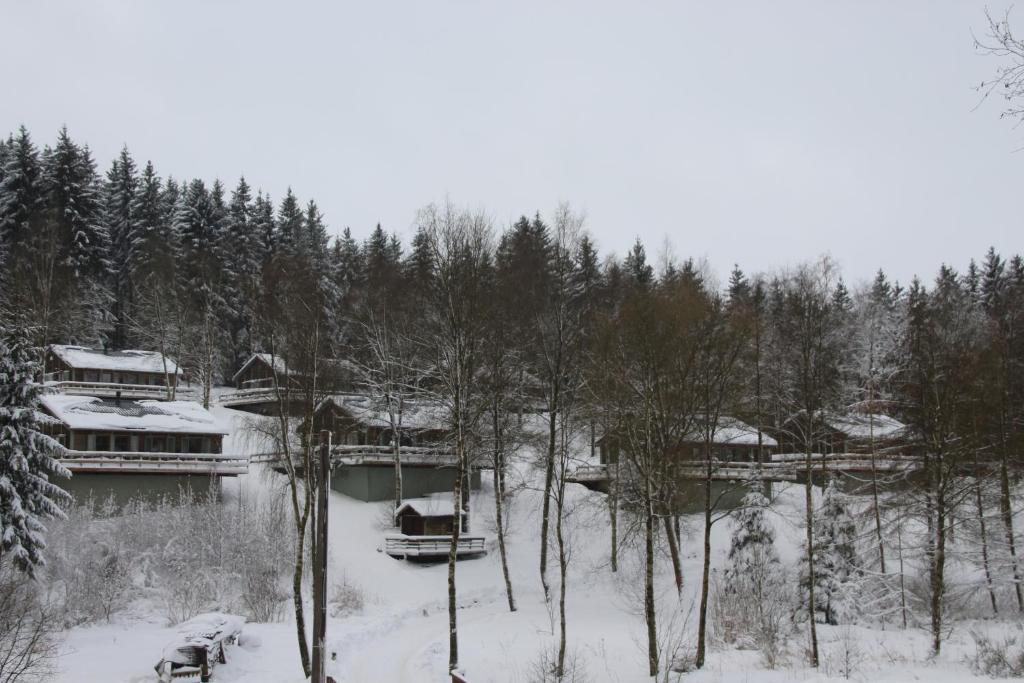 Chalet "A l Orée du bois" v zimě