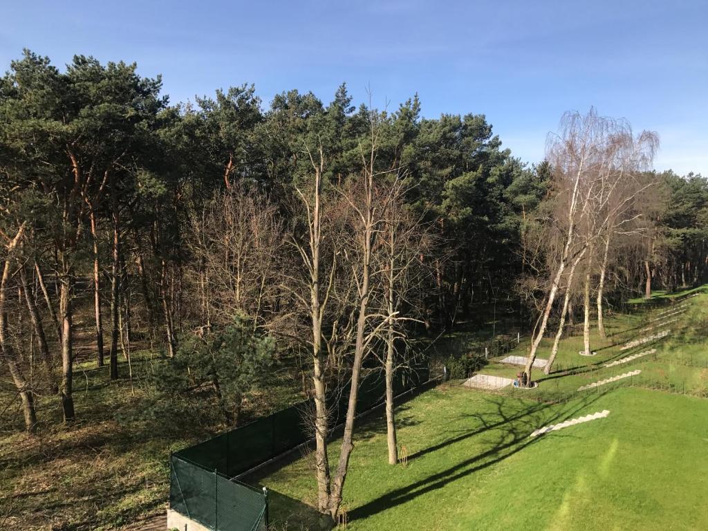 Príroda v okolí apartmánu