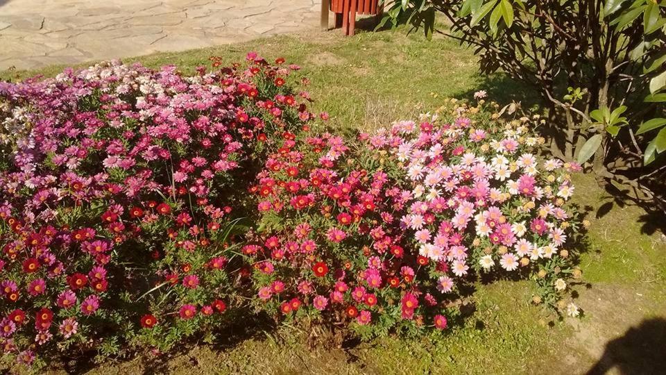 A garden outside Alén do Mis - Hotel Rural