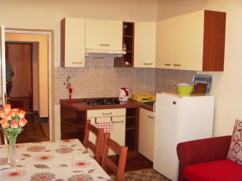 Kuchyň nebo kuchyňský kout v ubytování Apartment Marjana