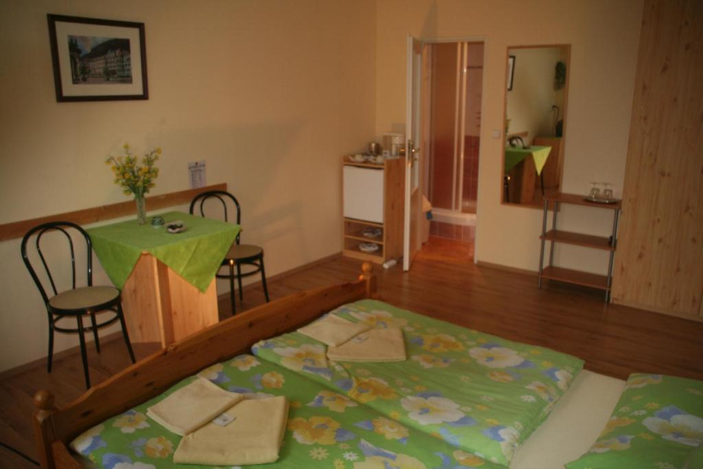 Chebsky dvur - Egerlander Hof - Resim 15