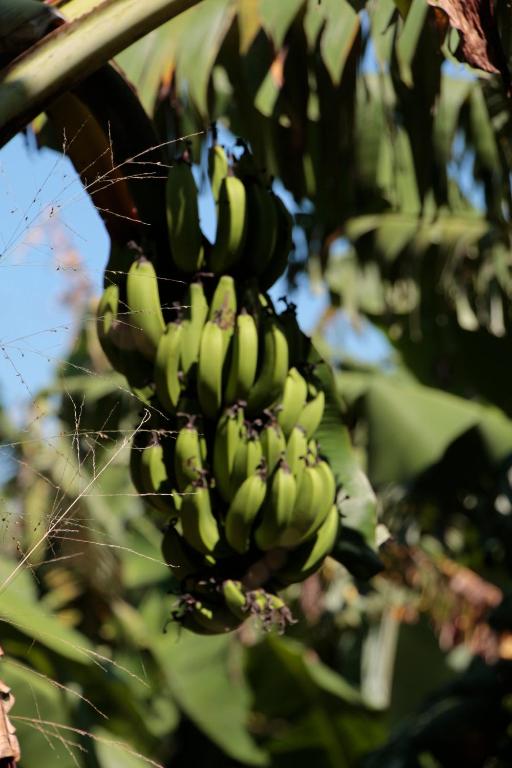  Hospedagem Fazenda Nova América