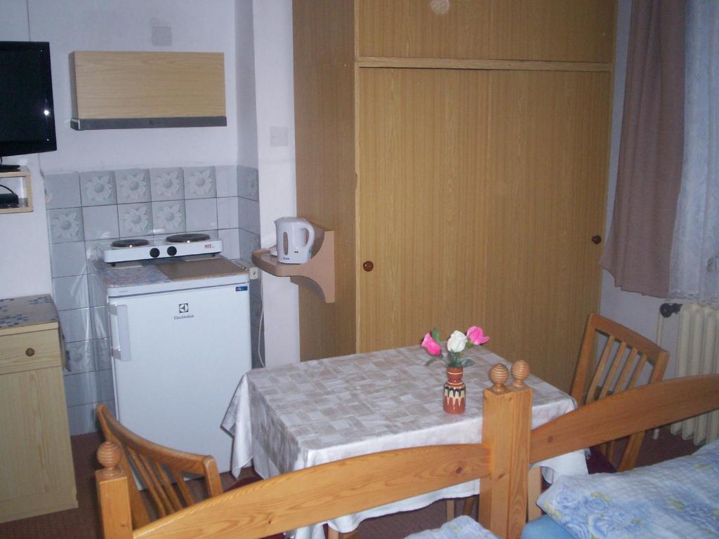 Kuchyň nebo kuchyňský kout v ubytování Penzion Hainiš