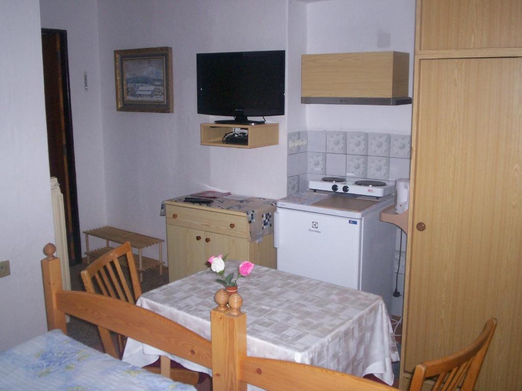 Kuchyň nebo kuchyňský kout v ubytování Penzion Hainiš