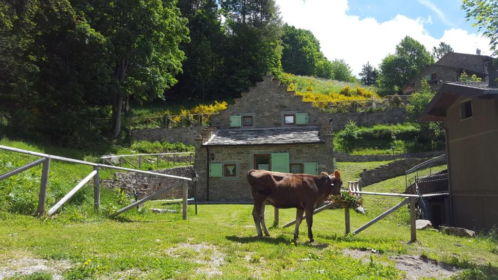 Zvieratá na farme alebo blízkom okolí