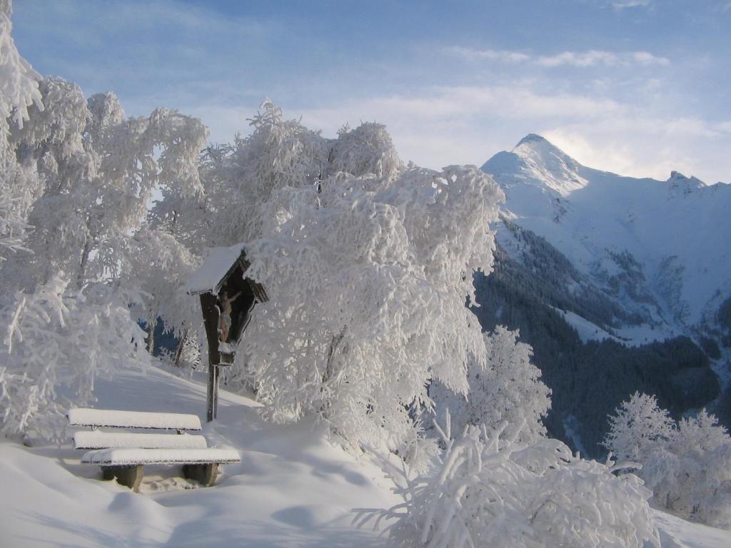Berggasthaus Steinerkogl v zimě