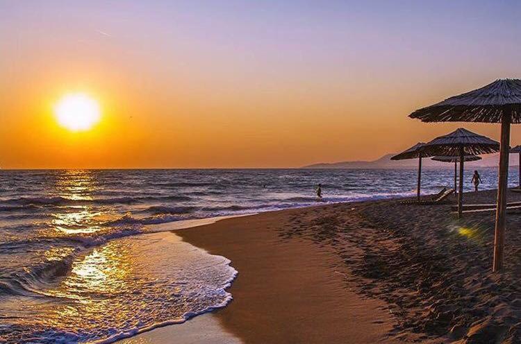 PLAZA on Instagram: Slatki san o egzotičnoj plaži skriven je u