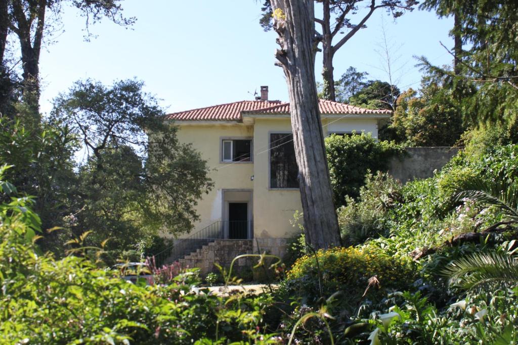 Κήπος έξω από το Casa do Lado - Tourism with Character