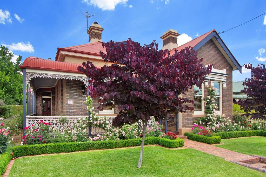 a house with a purple tree in the front yard at Loloma Bed and Breakfast in Armidale