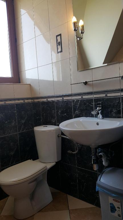 Willa Dzika Róża - 12