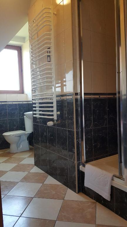 Willa Dzika Róża - 13