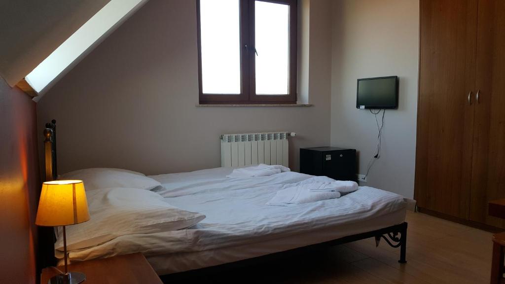 Willa Dzika Róża - 7